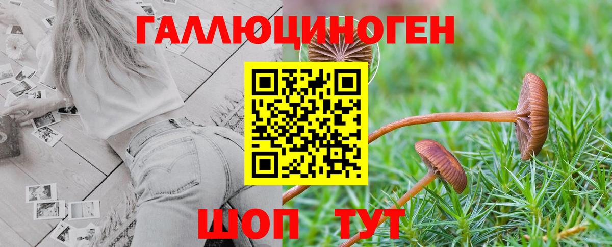 Галлюциногенные грибы Cubensis  Галлюциногенные грибы Cubensis  Вход с VPN  Шуя 